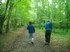 Trail at Lough Key Forest Park