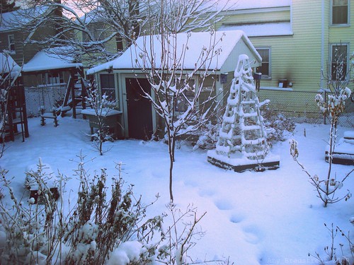 snow-covered garden