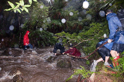 Crossing a stream in Waitakere Ranges - Auckland, NZ