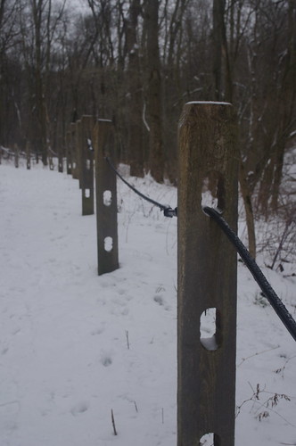 Trail posts