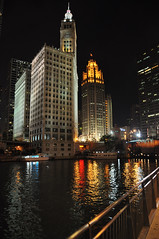 Chicago River in the Evening
