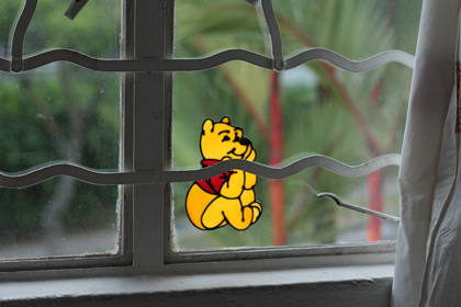 pooh in the window