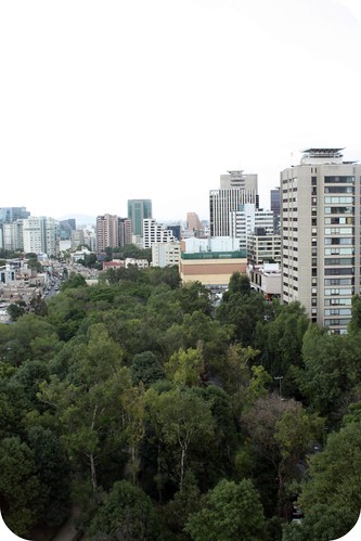view from my window, Mexico City by you.