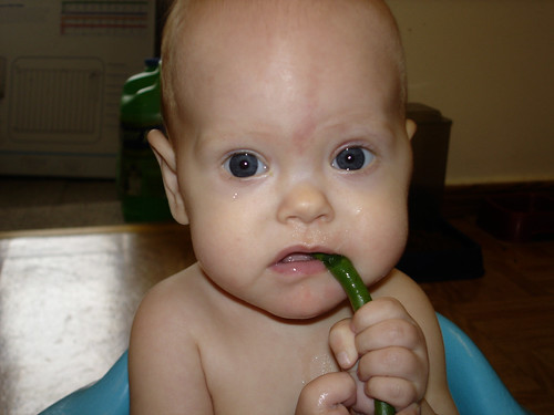 first green bean