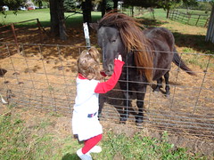 Lilliann Hugging A Horse