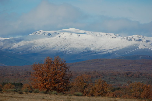 Primeras nieves sobre La Cabrera.
