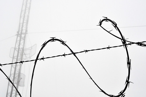 Concertina Wire (2)