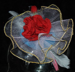 red carnation.net..gold trim.feather..by kathwah..pix by ..kathwah.