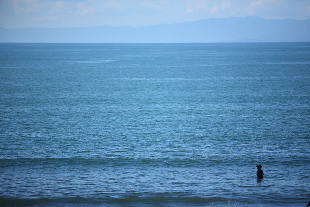 孤独な海面