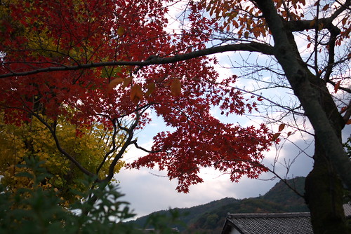 紅葉＠嵐山