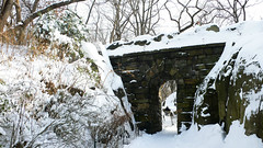Central park in snow4