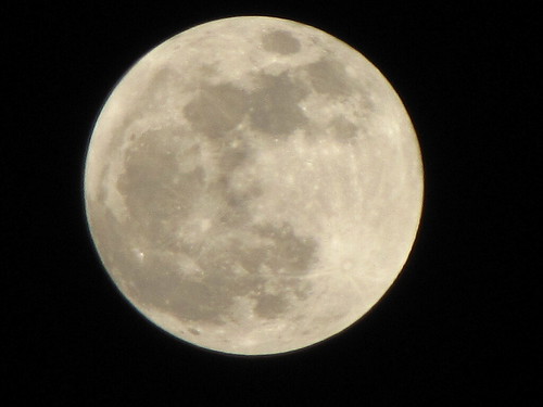 Howling At The Moon. Howling Moon Jan 29,