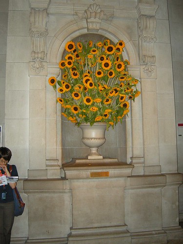 Slightly altered sunflowers