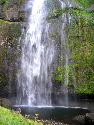 Multnomah Falls Pool