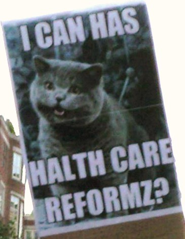 Happy Cat wants halth care reformz nao plz