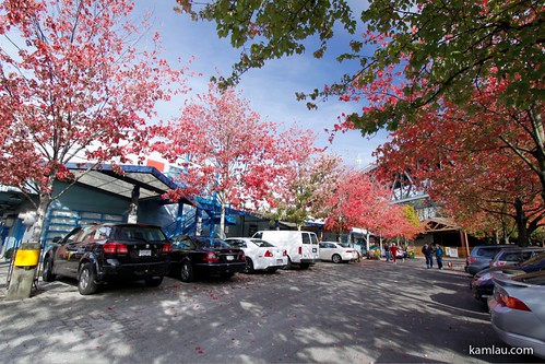 Granville Island in Autumn by you.