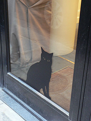 vitrine chat.jpg