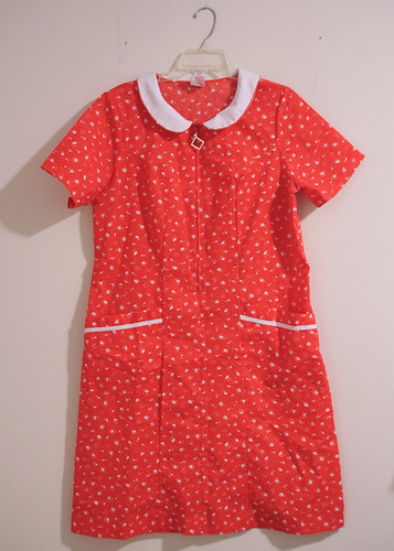 redhousedress1