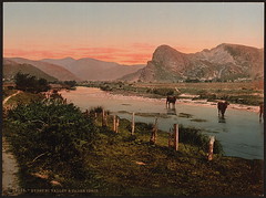 [Cader Idris (i.e. Cadair Idris) and Dyssyni Valley (cattle study), Wales ] (LOC)