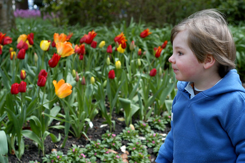 smelling the tulips