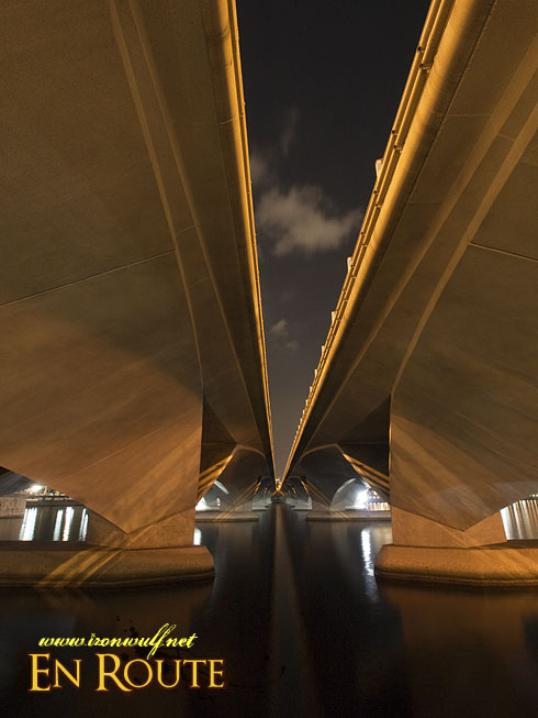 Singapore Merlion Park Under the Bridge