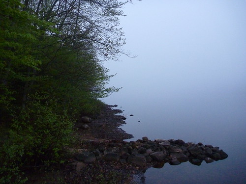 Mist on the lake.