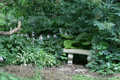 bench under the mulberry