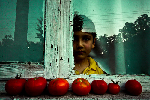 WindowLifeWindow by hkncnr / Hakan Çınar