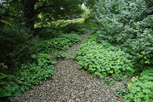 Path, Brine Garden