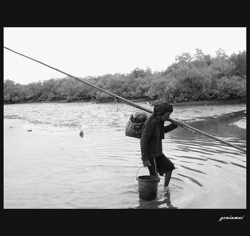 Making a Living from Fishing