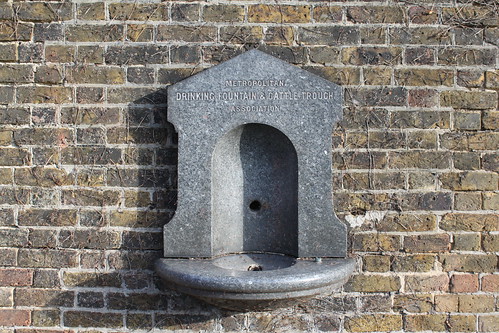 Drinking Fountain & Cattle Trough