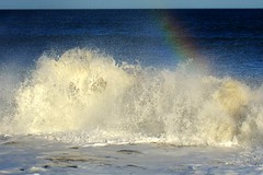 Surf Rainbow 09.12.03_18-3