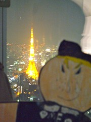 Flat Everett and Tokyo Tower