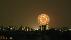 多摩川花火大会 2009.08.22