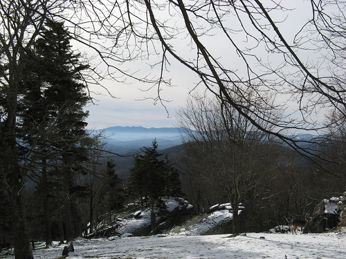 Grandfather Mountain vista