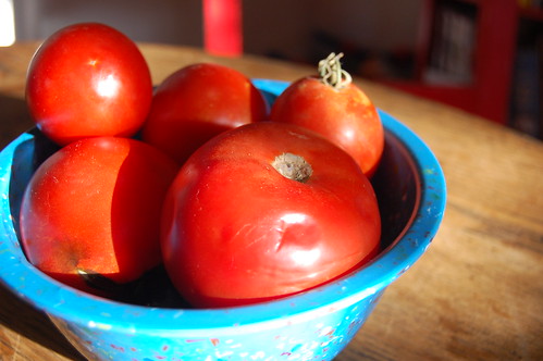 Grandpa E's tomatoes