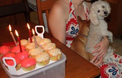 Zollie and Scout Blowing Out the Candles (Photo by Frances Wright)