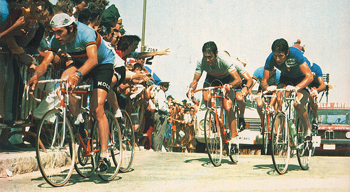 Merckx_1973B