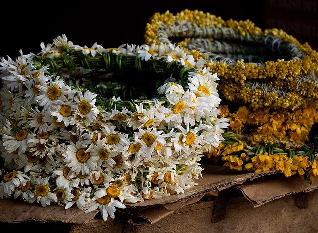 sirince - flower wreath