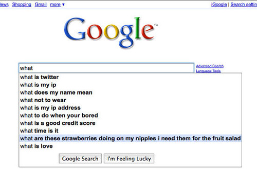 funny google searches suggestions. Google Suggestions -