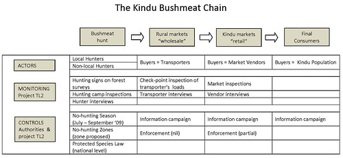 The Kindu Bushmeat Chainb