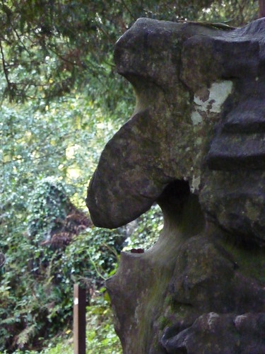 Witches Stone