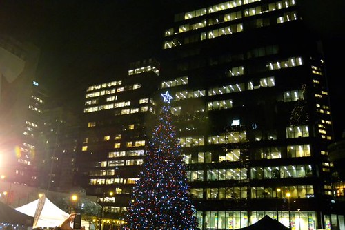 Amacon Christmas Tree on the Art Gallery lawn