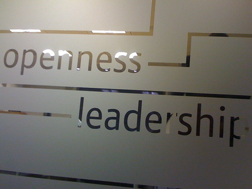 Openness => Leadership