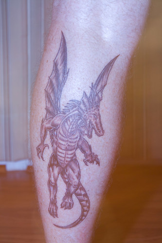 Dragon Tattoo image by jstonkatoy from Flickr.com, CC-BY