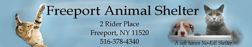 banner for Freeport Animal Shelter, Amityville, Long Island, New York