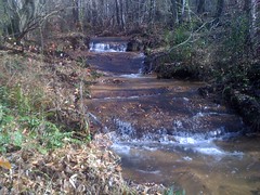  Tiny Falls on Cedar Creek Feeder Stream