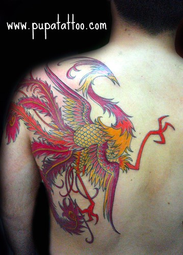 Tatuaje Phoenix Pupa Tattoo Granada