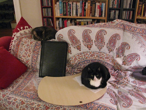 Letter-writing company on the couch