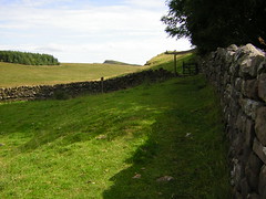 Hadrian's wall east